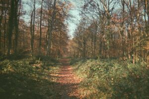 Shift into calm & Confidence