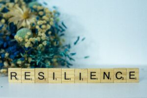 The Resilience Toolkit