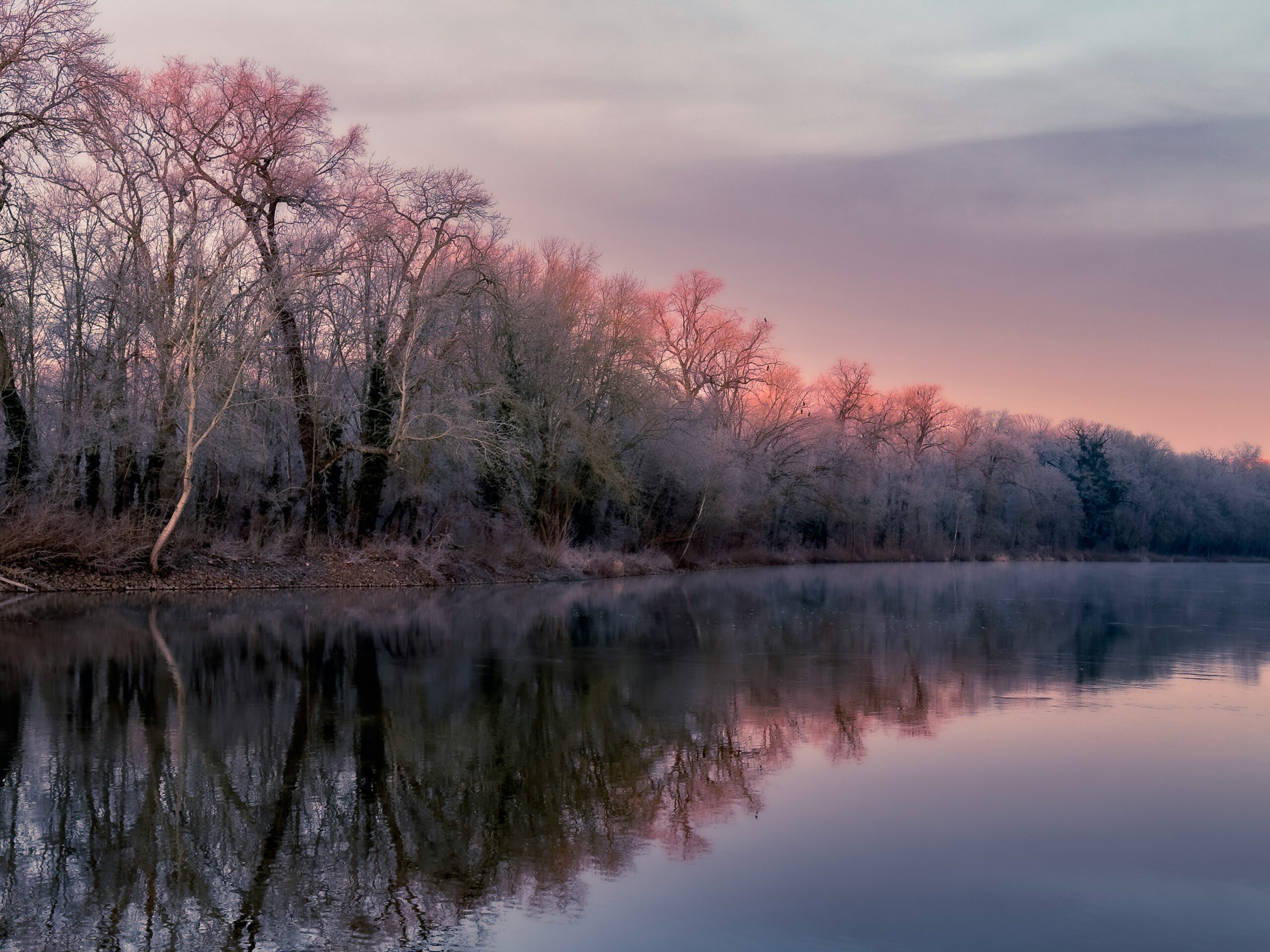 Reflect and Renew Workshop